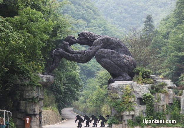 宜昌、三峽大壩、昭君故里、大九湖、神農(nóng)架5日